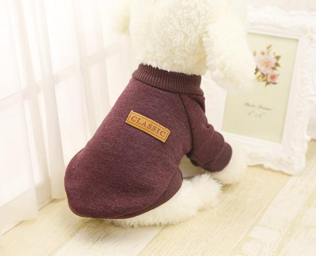 Popular Cozy Dog Sweater